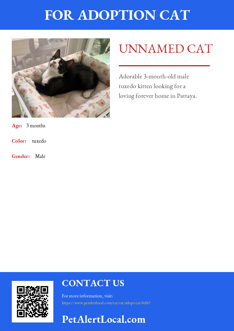 Poster preview for Unnamed Cat