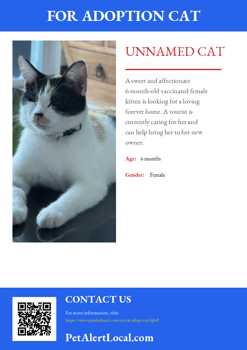 Poster for Unnamed Cat - Default