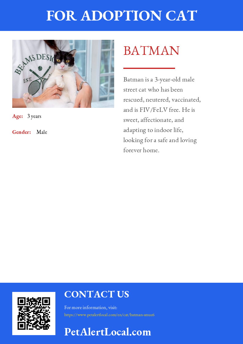 Poster for Batman - Default