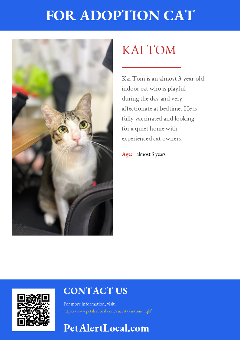 Poster preview for Kai Tom