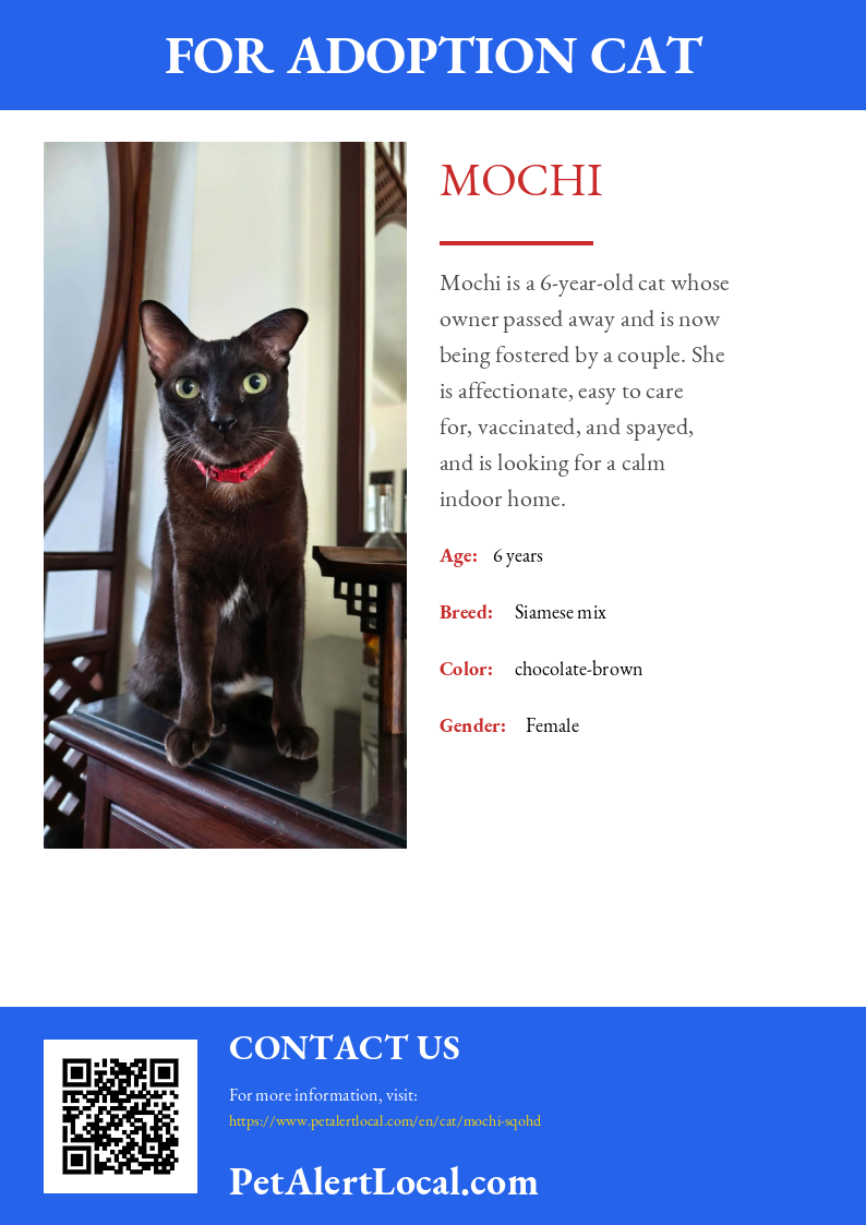 Poster preview for Mochi