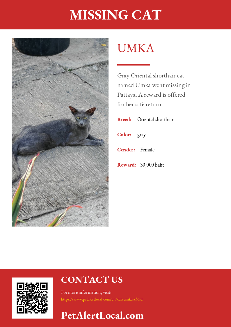 Poster for Umka - Default