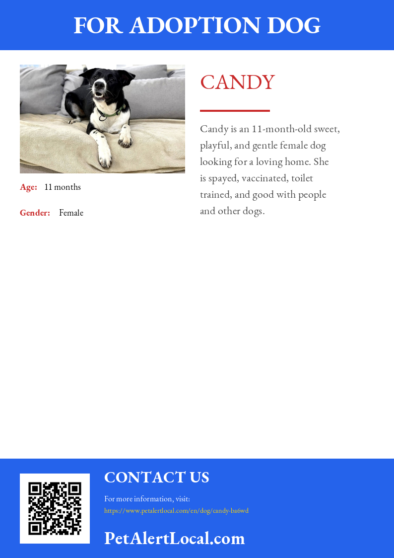 Poster for Candy - Default