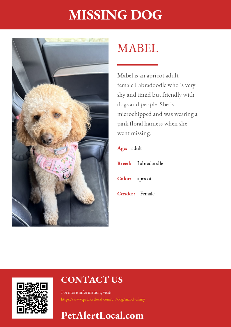 Poster preview for Mabel