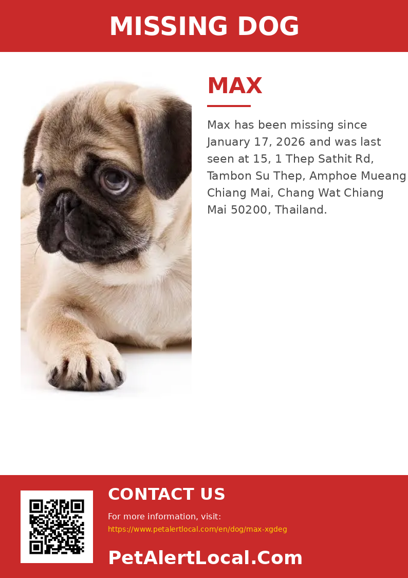 Poster preview for Max