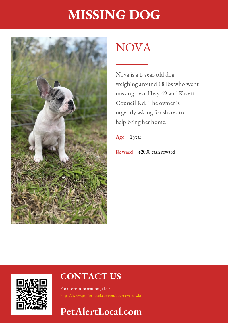 Poster preview for Nova