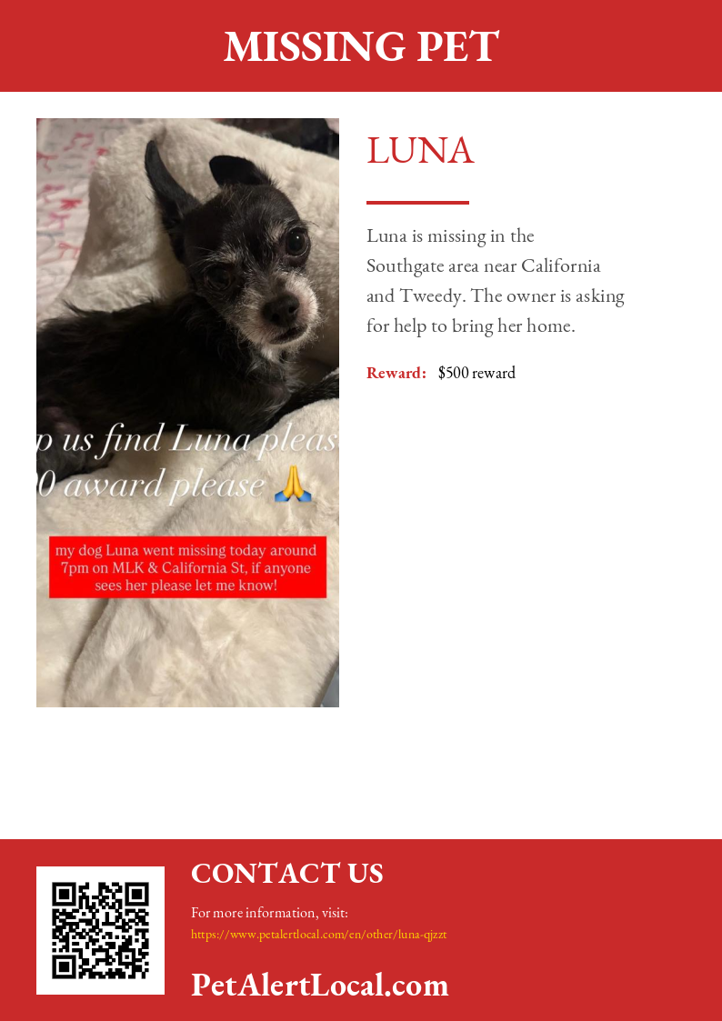 Poster preview for Luna