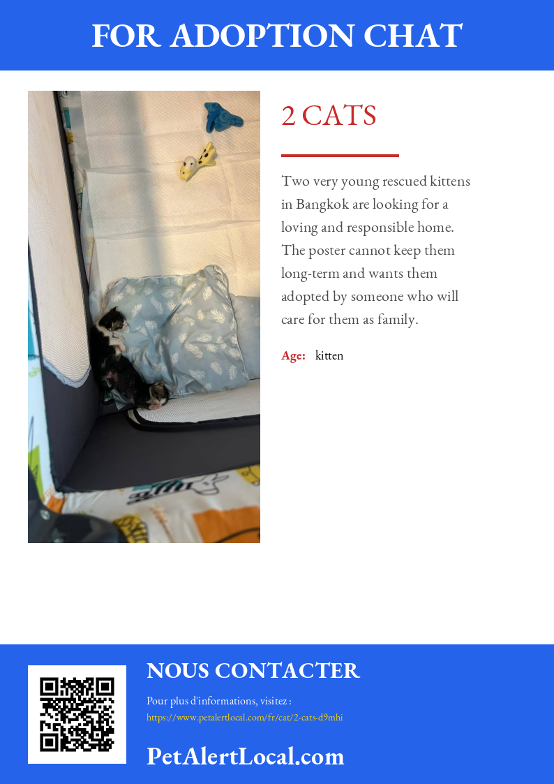 Affiche pour 2 Cats - Par défaut