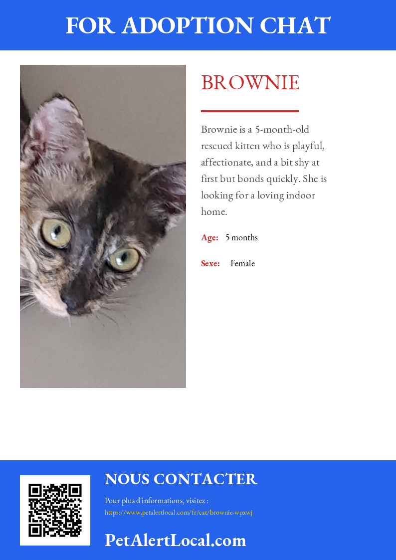 Affiche pour Brownie - Par défaut