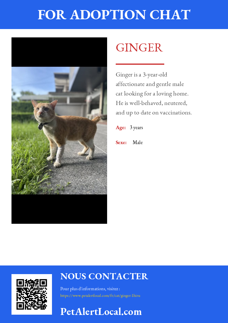 Affiche pour Ginger - Par défaut
