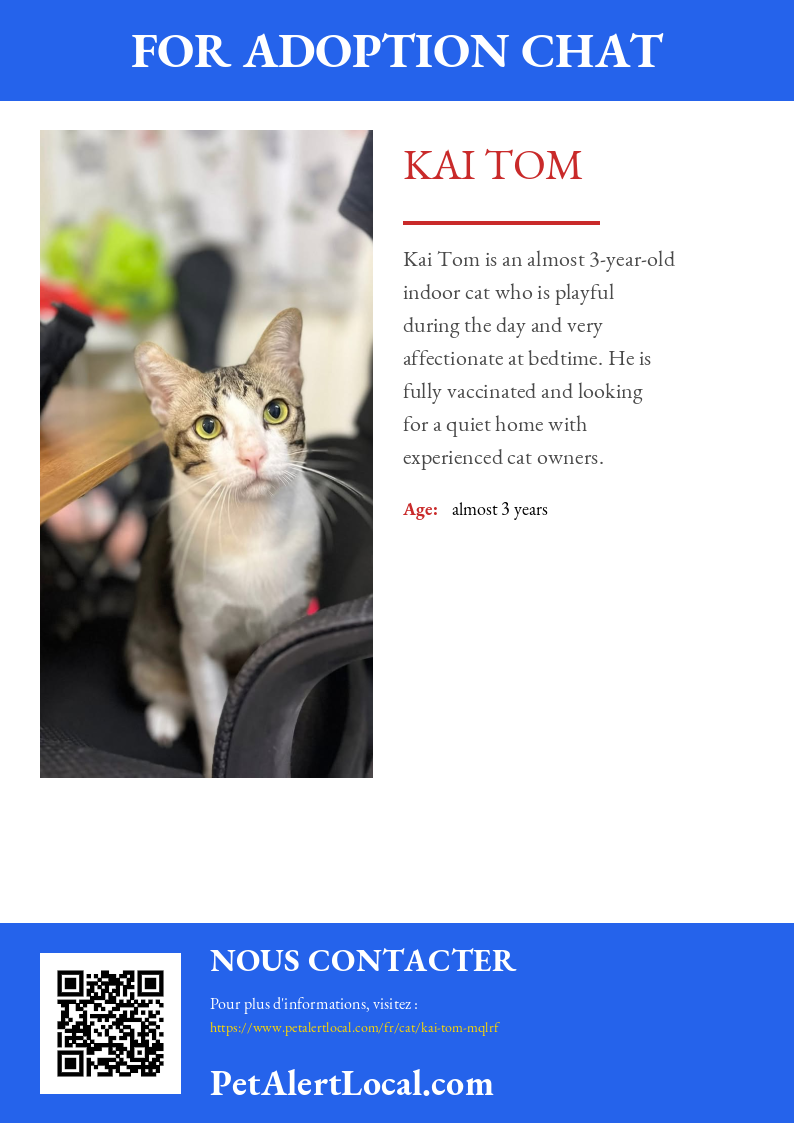 Poster preview for Kai Tom