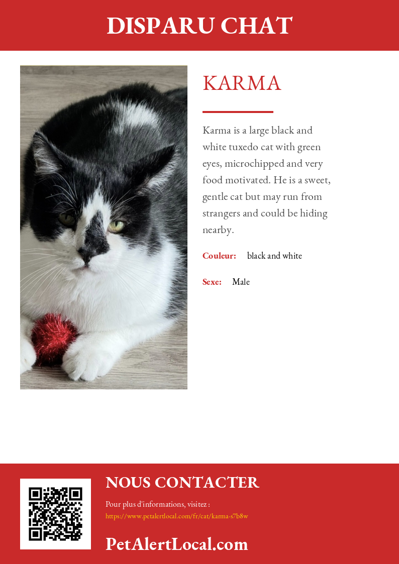 Poster preview for Karma