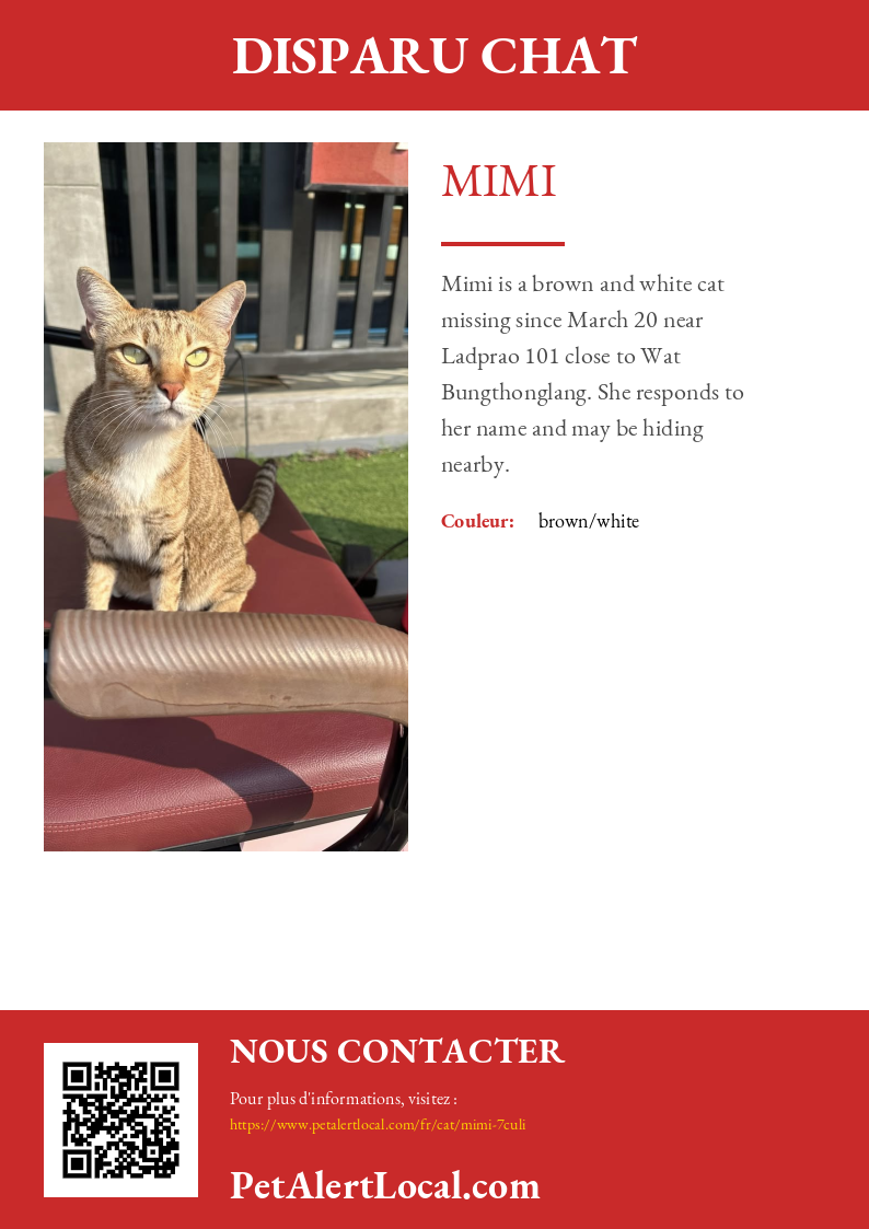 Poster preview for Mimi