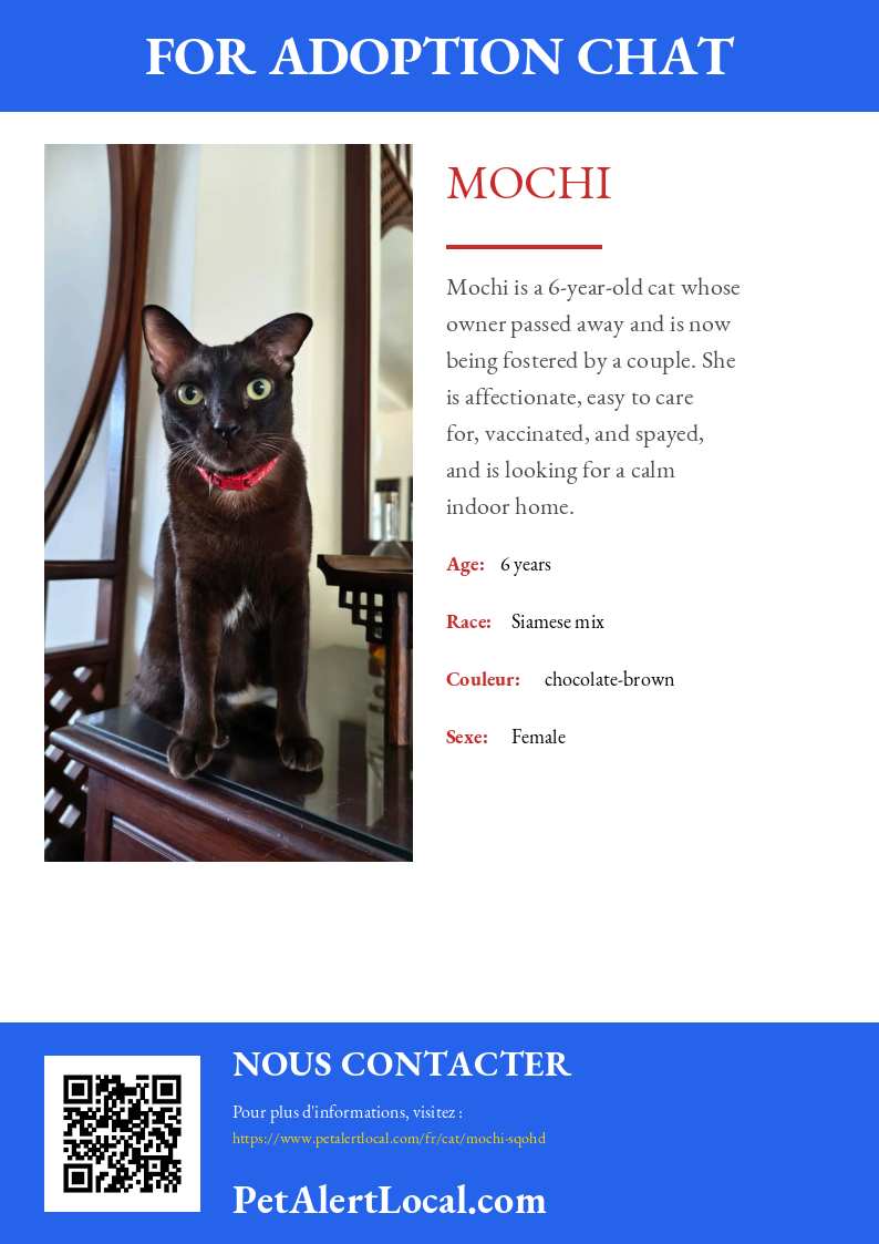 Affiche pour Mochi - Par défaut