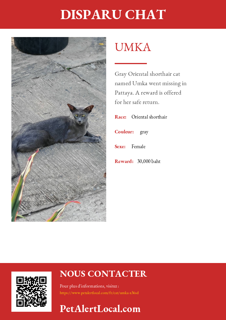 Affiche pour Umka - Par défaut