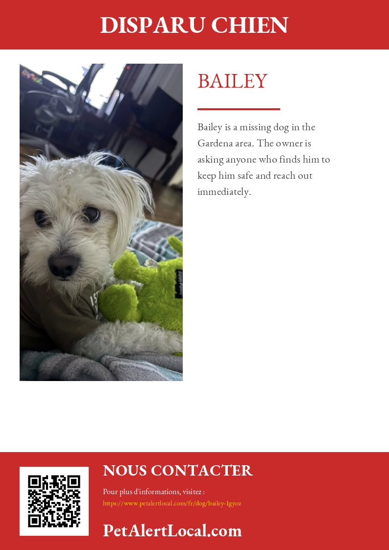 Poster preview for Bailey