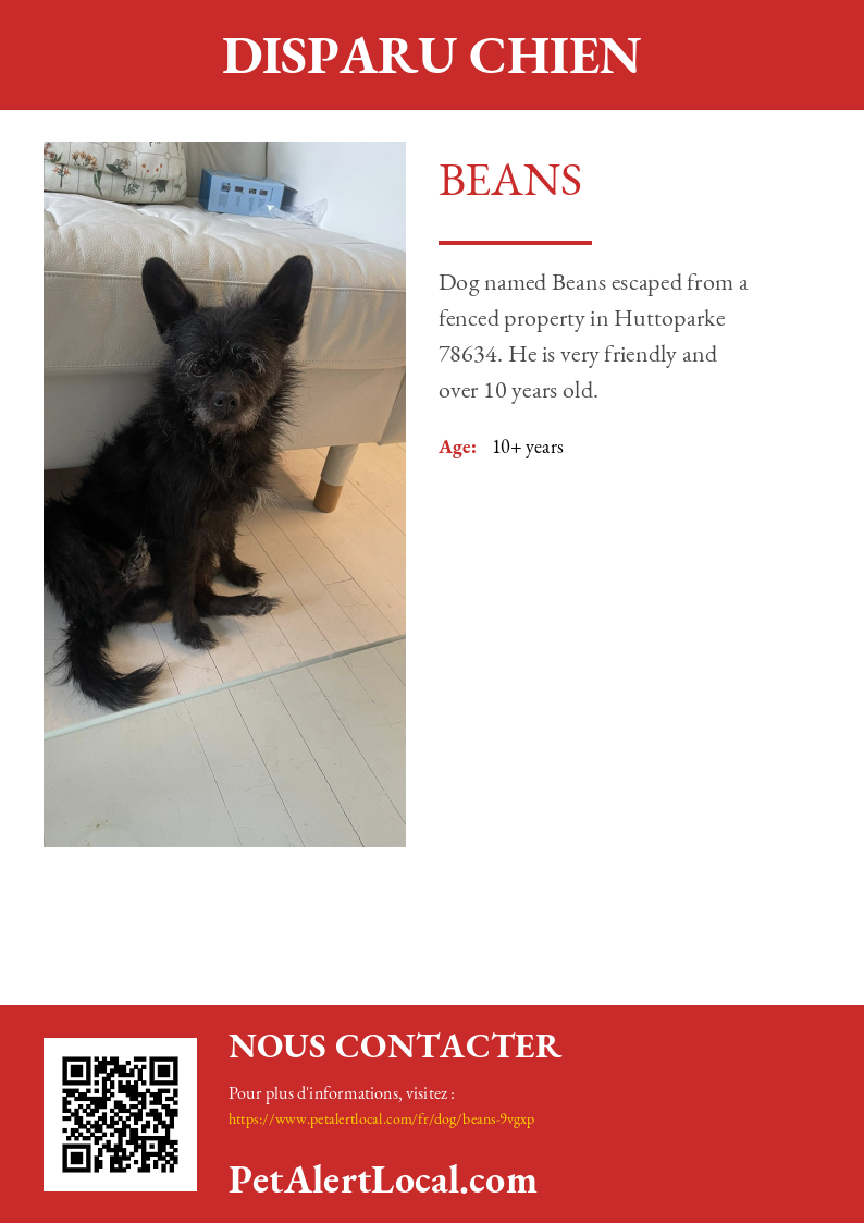 Affiche pour Beans - Par défaut