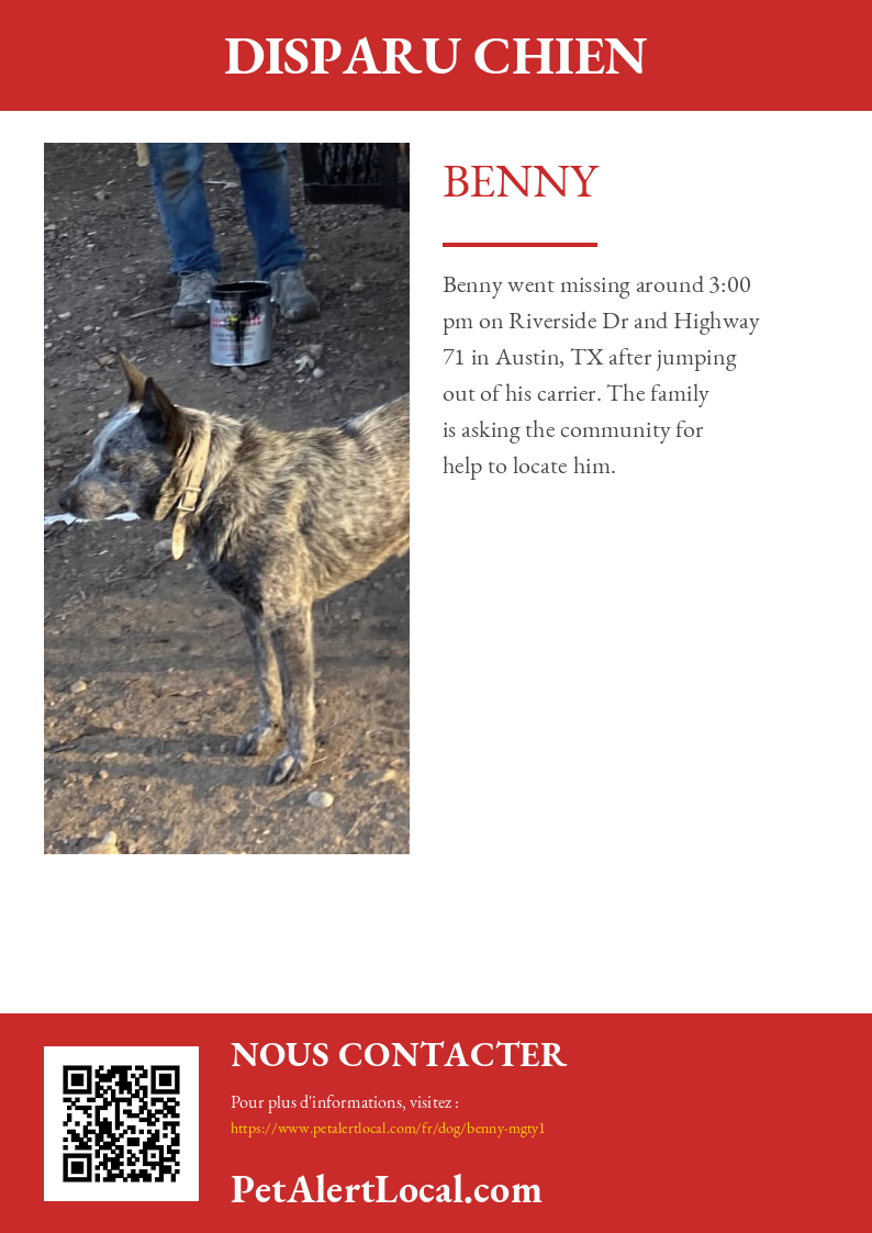 Poster preview for Benny