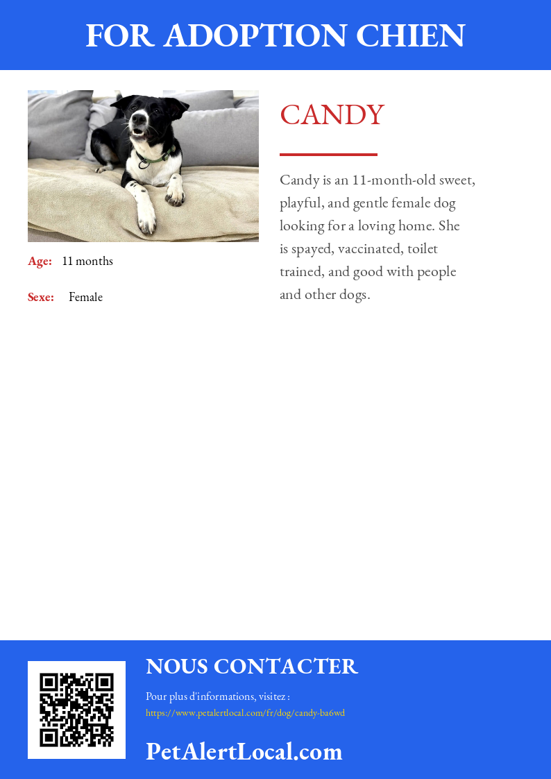 Affiche pour Candy - Par défaut