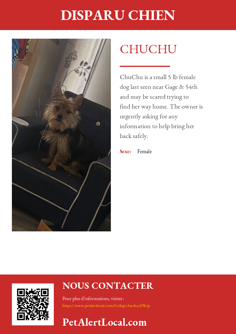 Poster preview for ChuChu