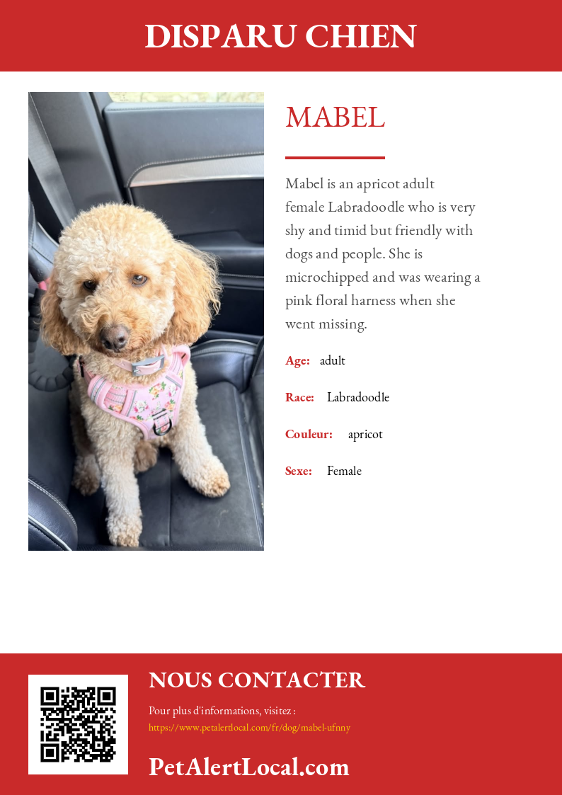 Poster preview for Mabel