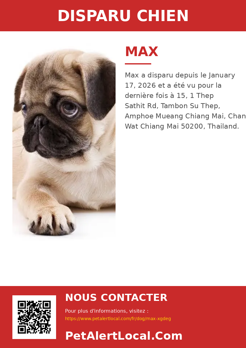 Poster preview for Max