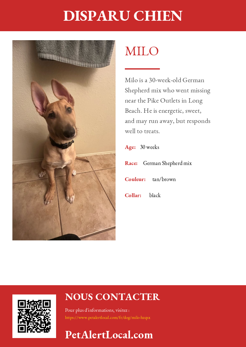 Poster preview for Milo