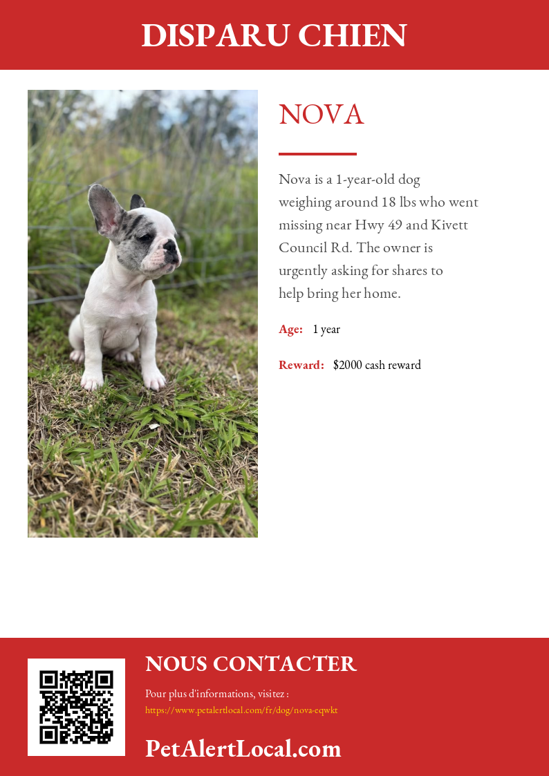 Affiche pour Nova - Par défaut