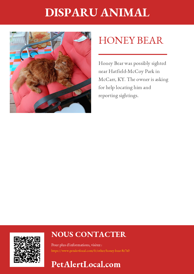 Affiche pour Honey Bear - Par défaut